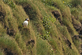 DSC01761 -2_t.jpg